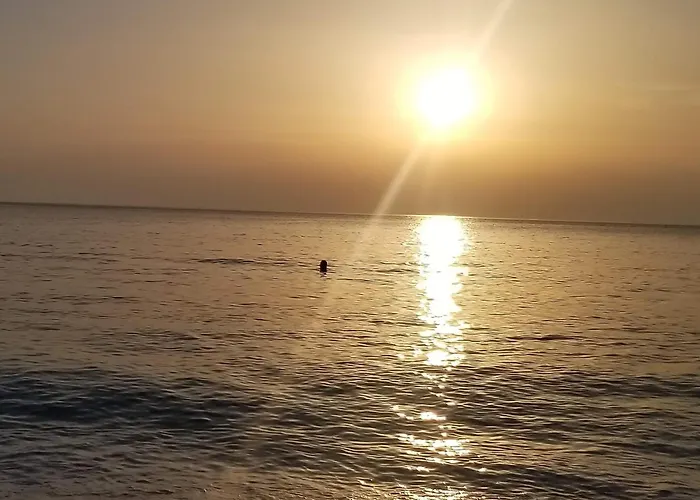 Vila Sulozeqi Apartment